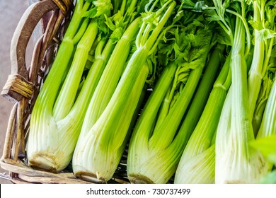 Heads of celery. Close-up. - Shutterstock ID 730737499