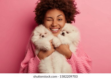 Headshot Of Funny Curly Haired Woman Smiles Toothily, Winks Eye, Carries Two Pedigree Puppies Closely To Face, Being Pet Lover, Bought Animals In Pet Store, Dressed In Knitted Jumper, Isolated On Pink