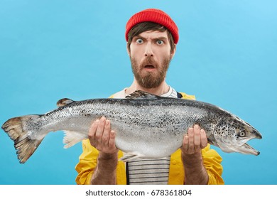 Headshot of funny emotional young bearded Caucasian fisherman in hat and raincoat holding large salmon in both hands, staring at camera with shocked look, can't believe that he caught such a big fish