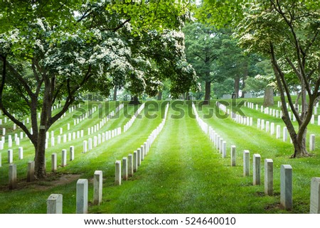 Headstone in Arlington National Cemetery in Autumn - Near to Washington D.C.

