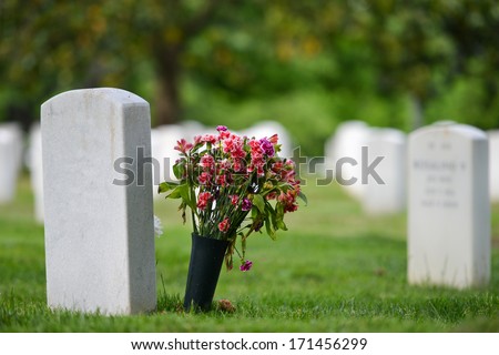 Headstones in Arlington National Cemetery - Washington DC United States 