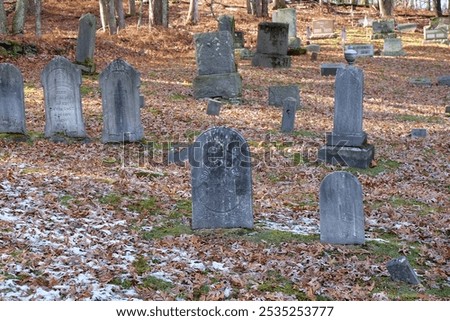 Headstones in a Catskill Cemetry 