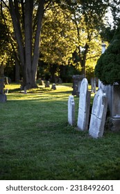 Headstones in a cemetery on a sunny day - Shutterstock ID 2318492601