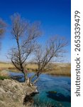 The headwaters place of Sakarya river in Eskisehir Turkey with turquoise water and yellow grass,trees