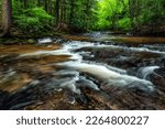 Headwaters of the Williams River, Monongahela National Forest, West Virginia, USA