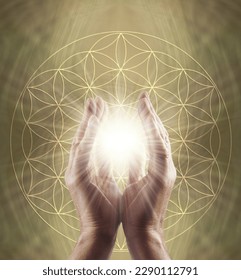 Healing Hands and Flower of Life Symbol Message Background - male parallel hands with white star light between against a golden Flower of Life background ideal for a spiritual holistic healing theme
				