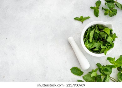 Healing herbs - green mint leaves in mortar for medicine - Powered by Shutterstock