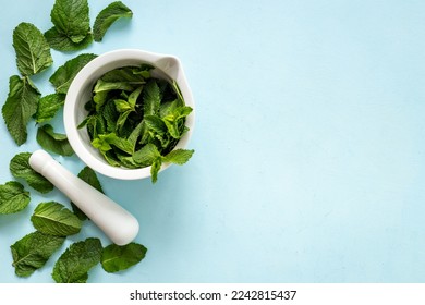 Healing herbs - green mint leaves in mortar for medicine - Powered by Shutterstock