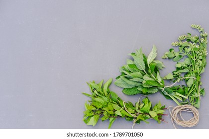 Healing Herbs For Herbal Tea. Mint, Melissa Catmint Soothing And Calming Tea Ingredients. Night Time Tea. Natural Beverages. Herbs Ready To Dry On A Grey Background. Top View. Copy Space For Text. 