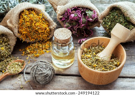 Healing herbs in hessian bags, mortar with chamomile and essential oil on wooden table, herbal medicine.