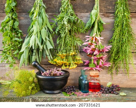 healing herbs on wooden wall, dried plants, herbal medicine