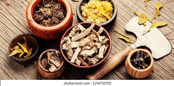 Healing herbs in wooden bowl, dried plants and root, herbal medicine.Herbalism