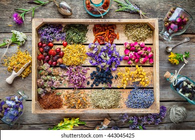 Healing Herbs In Wooden Box On Table, Herbal Medicine, Top View. Flat Lay.