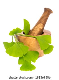 Healing Plants: Gingko (ginko Bilboa) With Mortar On White Background