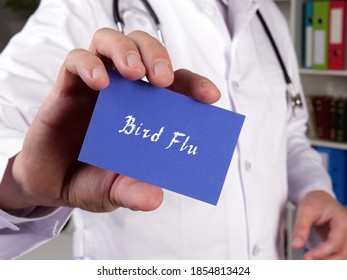 Health Care Concept About Bird Flu  With Sign On The Piece Of Paper.
