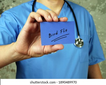 Health Care Concept Meaning Bird Flu  With Sign On The Page.
