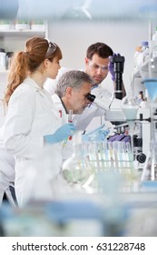 Health Care Researchers Microscoping In Life Science Laboratory. Young Research Scientists And Senior Professor Preparing And Analyzing Microscope Slides In Research Lab.