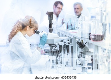 Health care researchers working in life science laboratory. Female researcher microscoping, scientists looking focused at tablet computer screen evaluating and analyzing study data.
