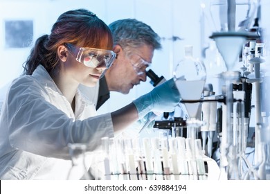 Health care researchers working in life science laboratory  Young female research scientist   senior male supervisor preparing   analyzing microscope slides in research lab 