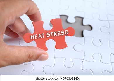 Health Conceptual, Hand Holding Puzzle Written HEAT STRESS