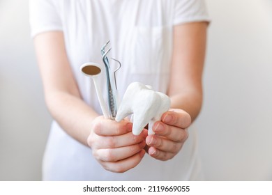 Health Dental Care Concept. Woman Hand Holding White Healthy Tooth Model And Dental Dentist Tools Isolated On White Background. Teeth Whitening, Dental Oral Hygiene, Teeth Restoration, Dentist Day