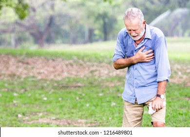 Health elderly concept Senior men cardiac arrest heart attack in park Severe heartache