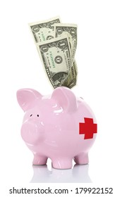 Health Savings Account Piggy Bank, Angle View