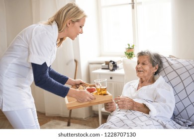 A Health Visitor Bringing Breakfast To A Sick Senior Woman Lying In Bed At Home.