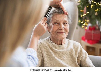 A health visitor combing hair of senior woman at home at Christmas time. - Powered by Shutterstock