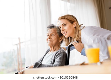 Health Visitor And A Senior Woman During Home Visit.