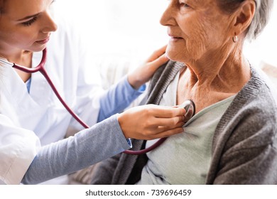 Health Visitor And A Senior Woman During Home Visit.