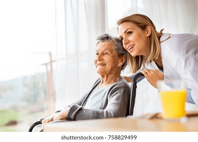 Health Visitor And A Senior Woman During Home Visit.