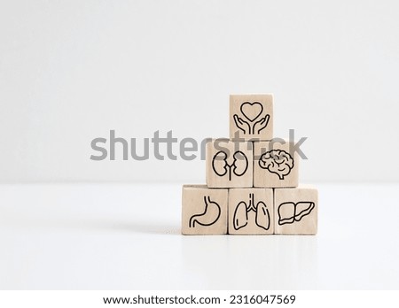Healthcare and internal organ protection. Health insurance. Protection, treatment and prevention of diseases. Wooden cubes with internal organ symbols.