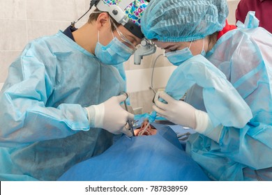 Healthcare, Medicine. Young Woman With Dentist In Mask With Loupe Binoculars In A Dental Surgery.