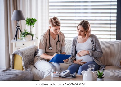 A Healthcare Worker Examining Pregnant Woman Indoors At Home.