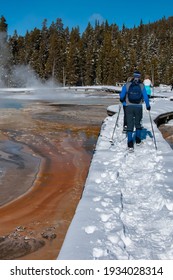 Healthy, Active Seniors Snowshoeing Past A Colorful Geyser Basin In Yellowstone National Park. Winter Snow Landscape. Snowshoes. Active Lifestyle. Wyoming.