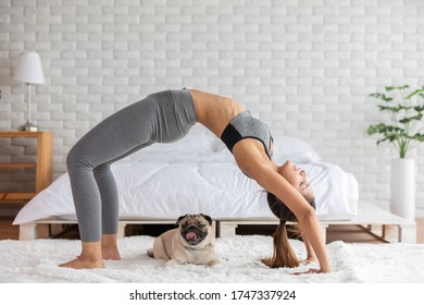 Healthy Asain woman practice yoga with dog pug breed enjoy and relax with yoga in bedroom,Recreation with Dog Concept - Shutterstock ID 1747337924
