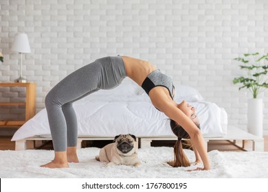 Healthy Asain woman practice yoga with dog pug breed enjoy and relax with yoga in bedroom,Recreation with Dog Concept - Shutterstock ID 1767800195