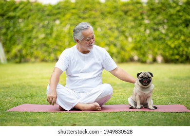 Healthy Asian Elderly man with white hairs doing exercise and playing with dog pug breed on green grass at park,Wellness Senior Recreation concept
