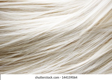 Healthy Blonde Hair - Close Up Image