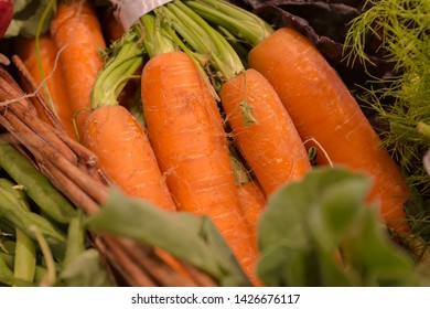 
HEALTHY CARROTS WITH GREEN STEM AMONG VARIETY OF GREEN LEAVES