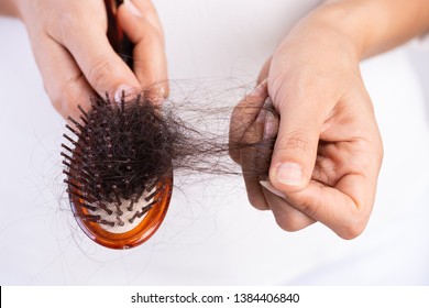 Healthy Concept. Woman Show Her Brush With Damaged Long Loss Hair And Looking At Her Hair.