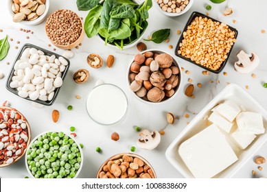 Healthy diet vegan food, veggie protein sources: Tofu, vegan milk, beans, lentils, nuts, soy milk, spinach and seeds. Top view on white table.