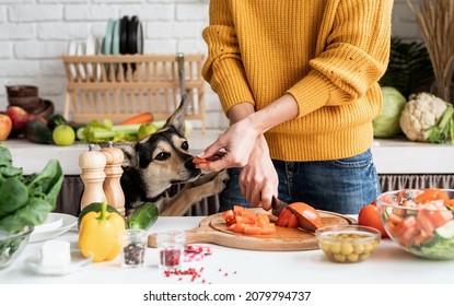Healthy eating. Front view of female hands making salad and giving a piece of a vegetable to a dog