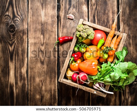 Similar – Image, Stock Photo herb box Food