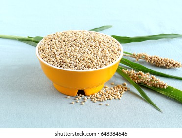 Healthy Food Sorghum And Sorghum Leaves And Seed Heads.