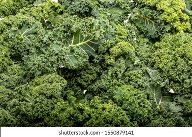 A Healthy Fresh Curly Kale