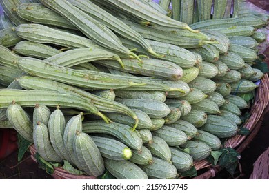 Healthy And Fresh Luffa Gourd Stock On Shop For Sell