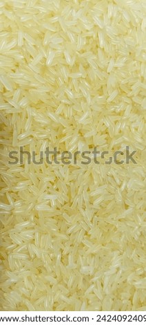 Healthy fresh rice grown in Indian organic soil