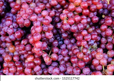 Healthy fruits Red wine grapes background/ dark grapes/ blue grapes/wine grapes,Red wine grapes background/dark grapes,blue grapes,Red Grape in a supermarket local market bunch of grapes ready to eat - Shutterstock ID 1525117742